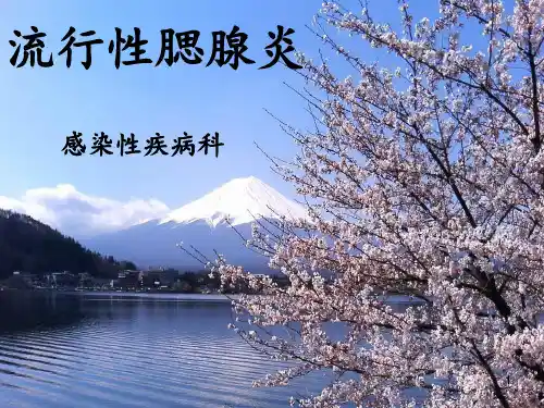 流行性腮腺炎PPT课件