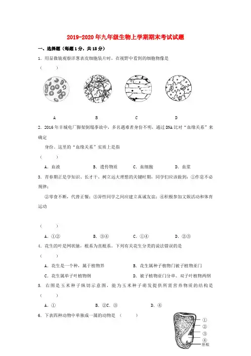 2019-2020年九年级生物上学期期末考试试题