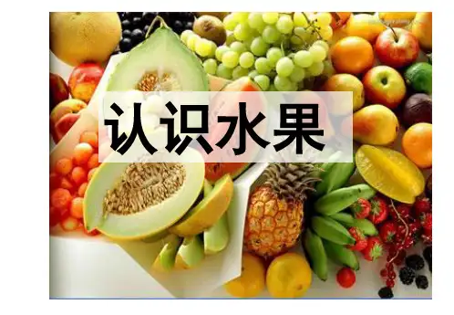 宝宝学认水果