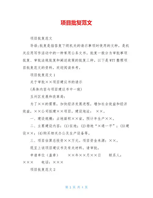 项目批复范文 2