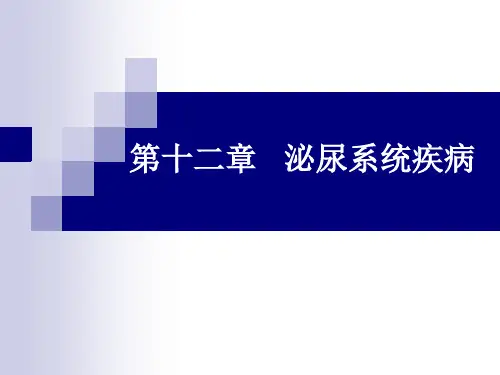 病理学-泌尿系统疾病(15.11.11)