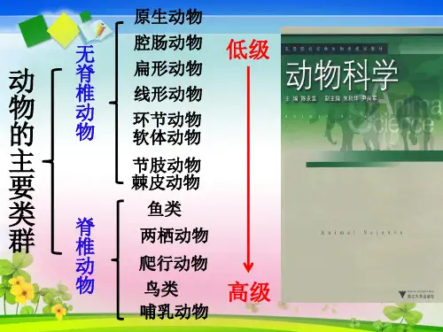 腔肠动物和扁形动物 PPT课件3 人教版