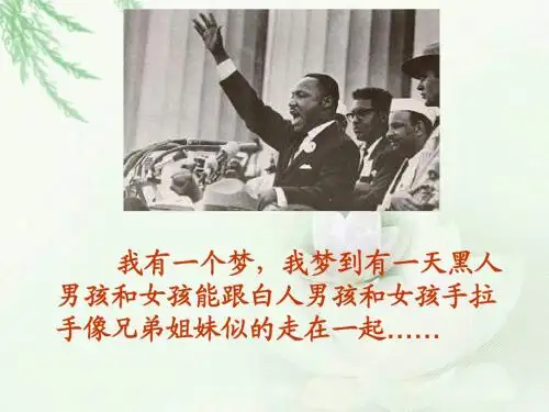 北师大版《黑孩子罗伯特》PPT课件001