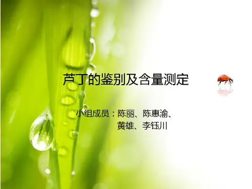 芦丁和槲皮素的化学检识2