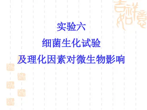 细菌生化试验