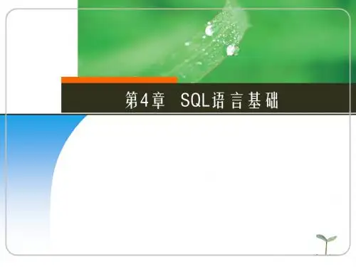 第4章_SQL语言基础