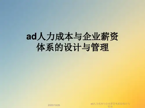 ad人力成本与企业薪资体系的设计与管理