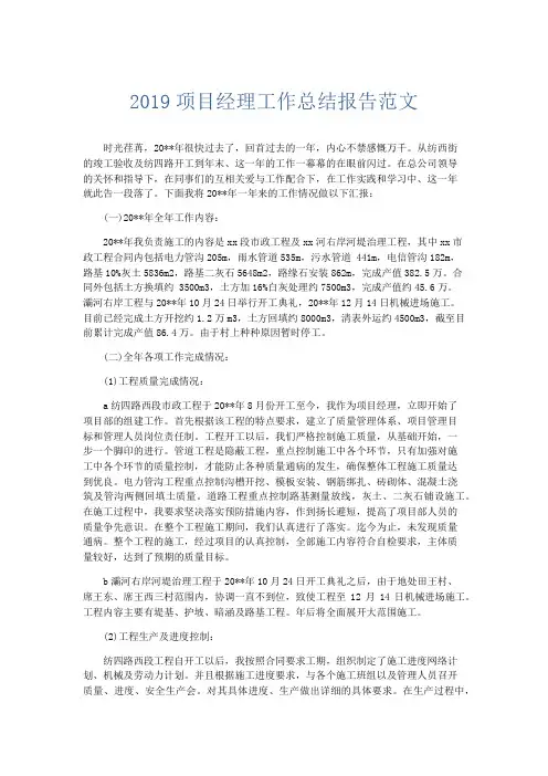 总结报告-2019项目经理工作总结报告范文 精品
