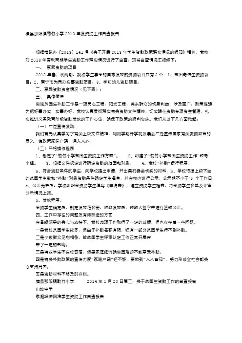学生资助自查报告