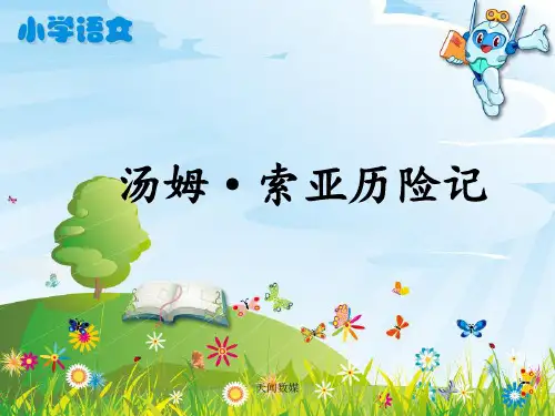 《汤姆·索亚历险记》教学课件(3) 小学语文课件 六年级语文课件