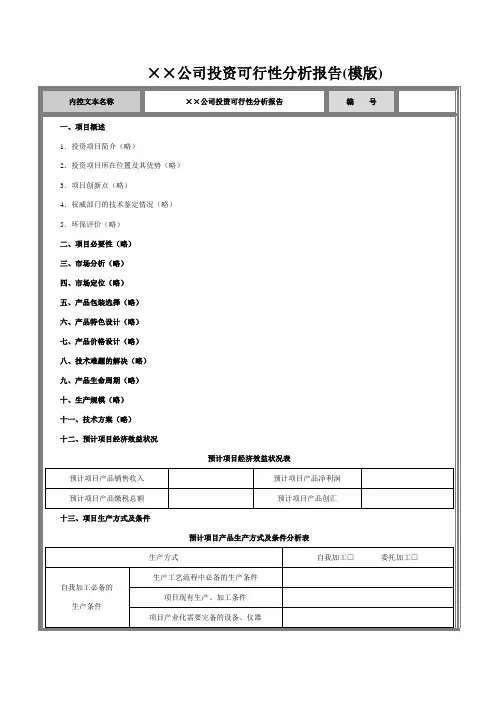 公司投资可行性分析报告
