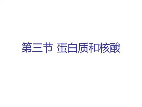 人教版化学选修五第四章第三节 蛋白质和核酸(共28张PPT)