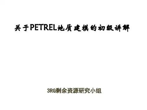 Petrel软件操作