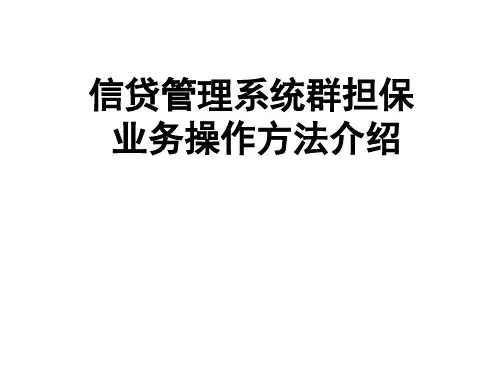 信贷管理系统群担保业务处理方法(2)