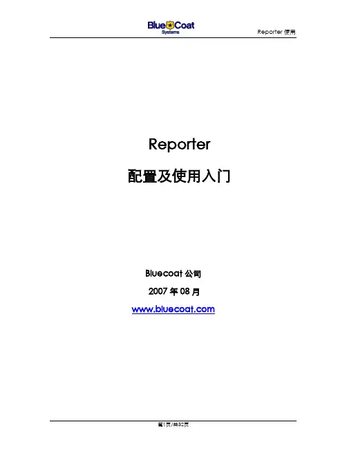 Reporter配置使用入门