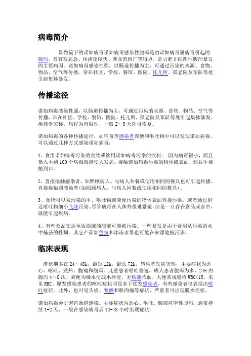 诺如病毒知识及预防