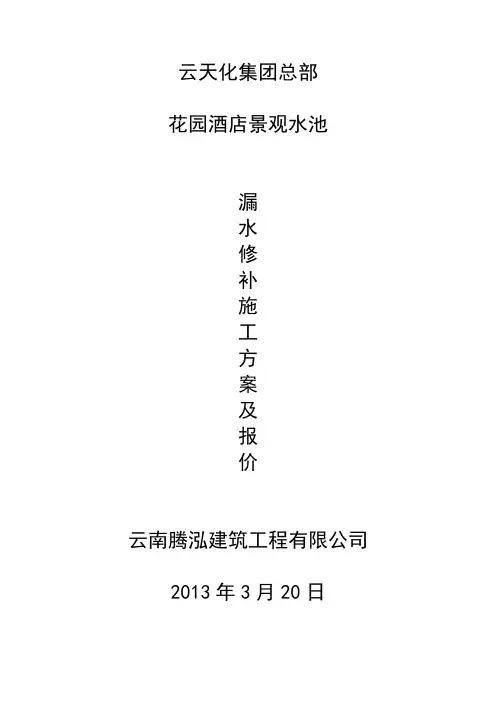 水池漏水修复施工方案