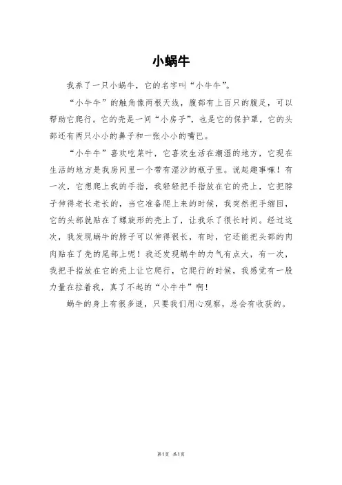小蜗牛_三年级作文