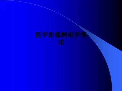 [医学]医学影像解剖学概述