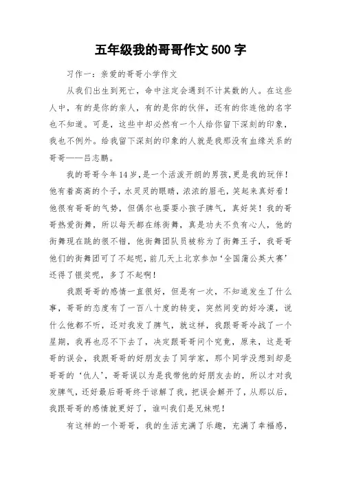 五年级我的哥哥作文500字_作文