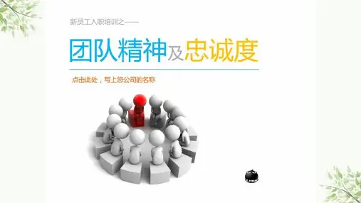 新员工培训之团队精神课件