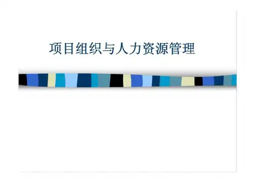 项目组织与人力资源管理