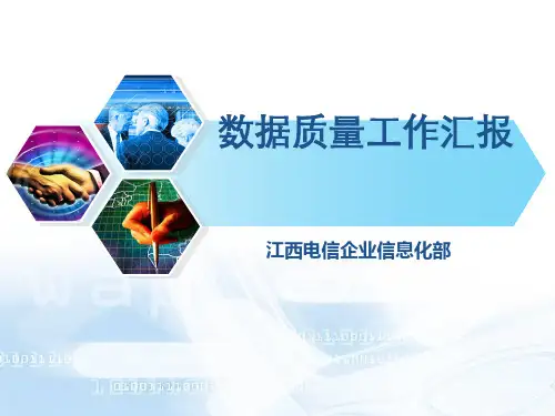 数据质量工作汇报ppt课件