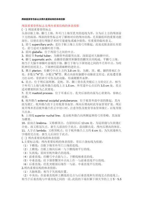 颅部重要骨性标志及颅内重要结构的体表投影