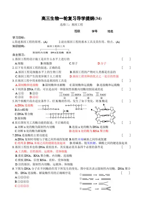 基因工程的工具