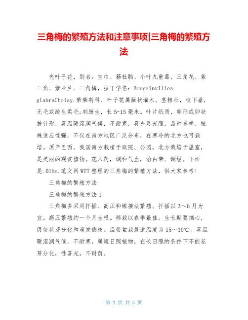 三角梅的繁殖方法和注意事项-三角梅的繁殖方法