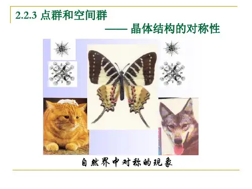 2.2.3点群和空间群