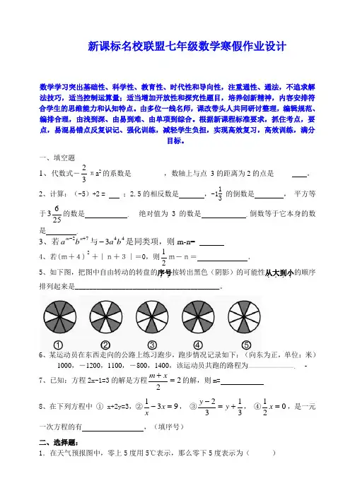 新课标七年级数学寒假作业设计快速提升分数精华版 (43)