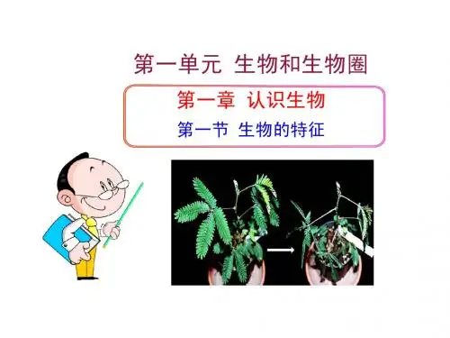 生物新人教版七上第一单元第一章第一节生物的特征 课件17