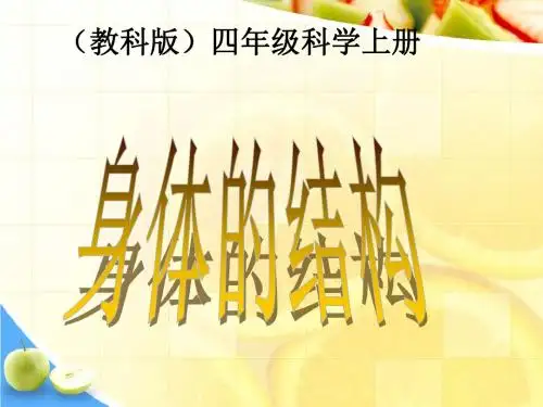 教科版科学四上《身体的结构》1