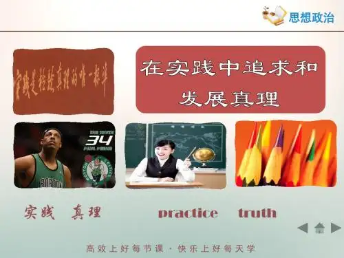 人教版高中政治必修4 6.2知识总结:《在实践中追求和发展真理》