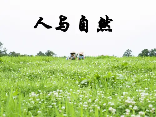 人与自然PPT