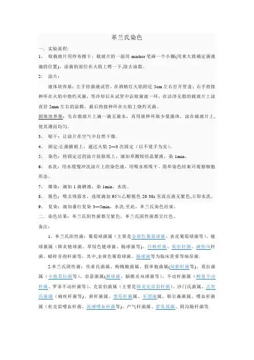 革兰氏染色实验步骤