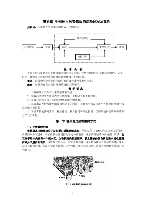 污染物在生物体内的迁移与生物效应