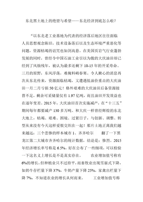 东北黑土地上的绝望与希望——东北经济到底怎么啦？