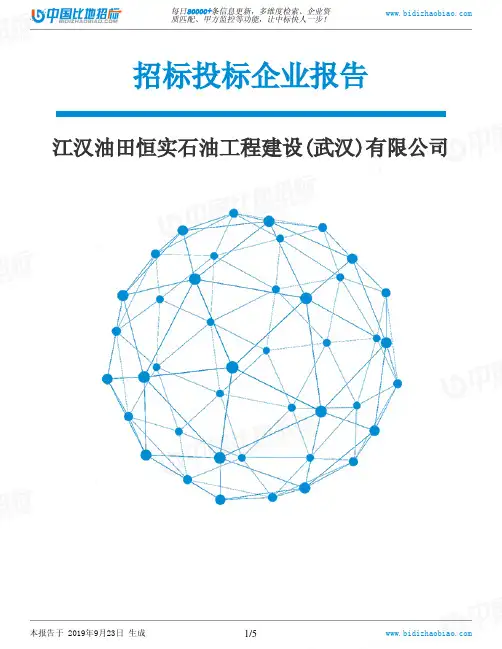江汉油田恒实石油工程建设(武汉)有限公司_中标190923
