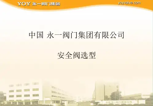 安全阀选型