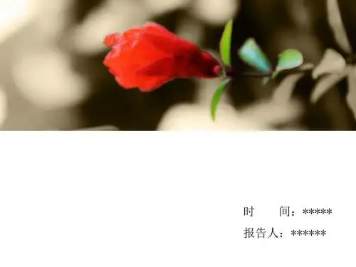 演讲报告PPT模板