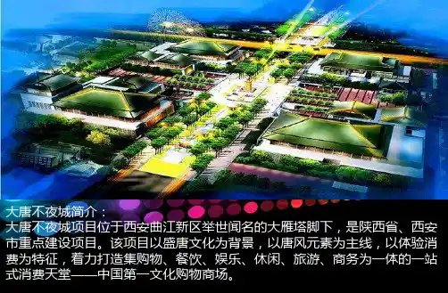 西安大唐不夜城调研PPT1