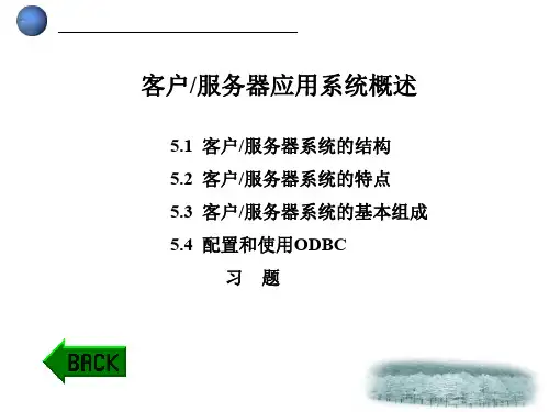 某公司客户服务器应用系统概述(ppt 43页)