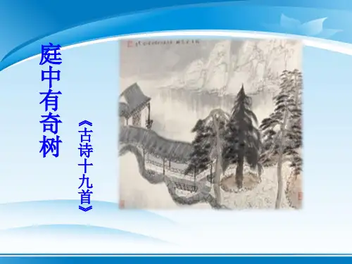 《庭中有奇树》PPT课件