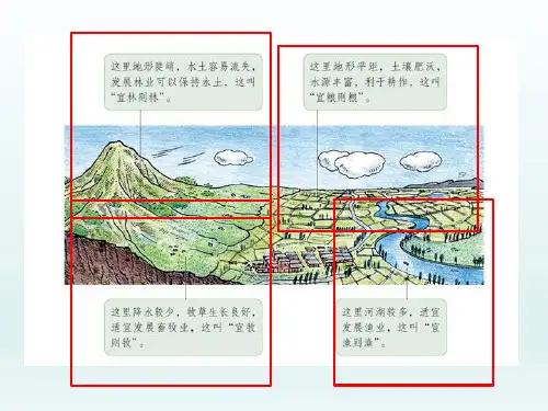 八年级地理上册  第四章中国的经济发展第二节农业第2课时发展农业要因地制宜走科技强农之路课件6-10
