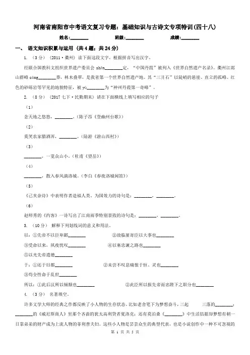 河南省南阳市中考语文复习专题：基础知识与古诗文专项特训(四十八)