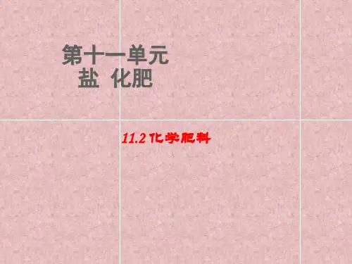 人教版九年级化学下册第11单元教学课件：11.2 化学肥料(共26张PPT)