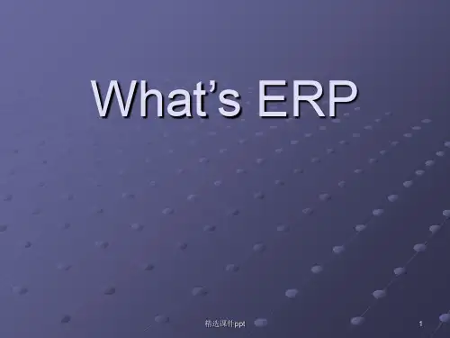 《ERP的概念》PPT课件