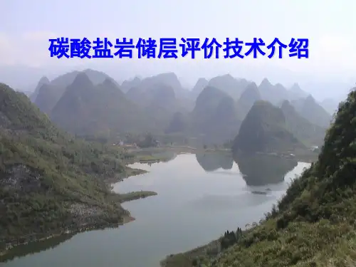 碳酸盐岩储层评价技术介绍
